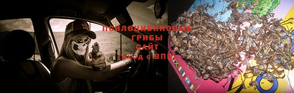 амфетамин Белокуриха