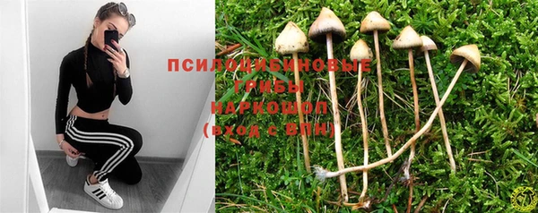 мяу мяу мука Белоозёрский