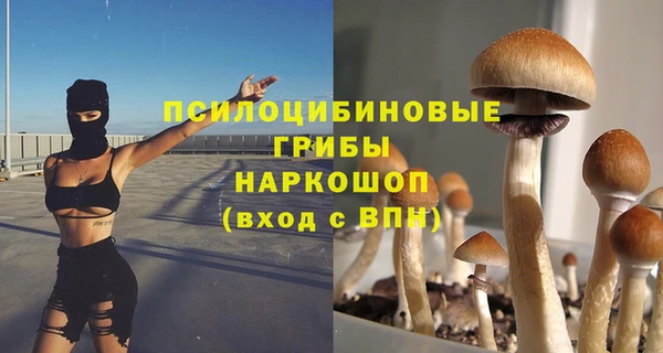 мяу мяу мука Белоозёрский