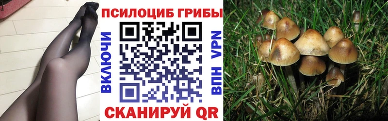Псилоцибиновые грибы GOLDEN TEACHER  где найти   Сегежа 